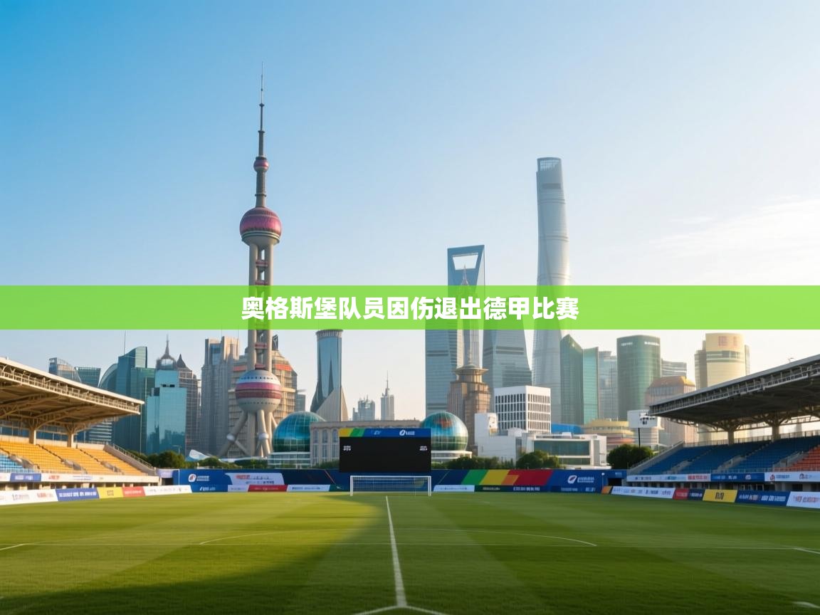 奥格斯堡队员因伤退出德甲比赛 第2张
